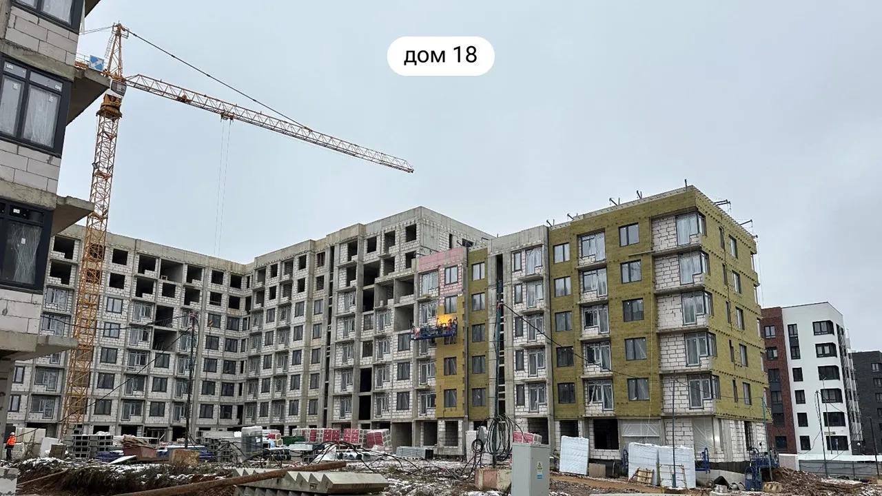 Ноябрь 2024