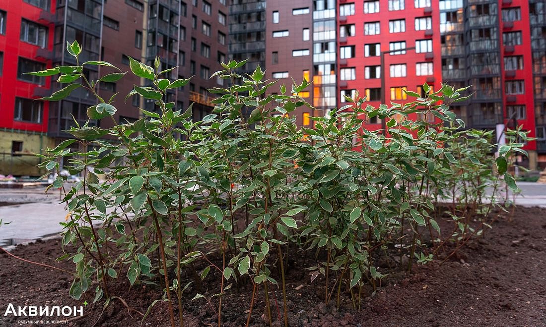 ЖК Аквилон Park / Ход строительства / Июль 2022