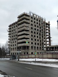 Февраль 2025