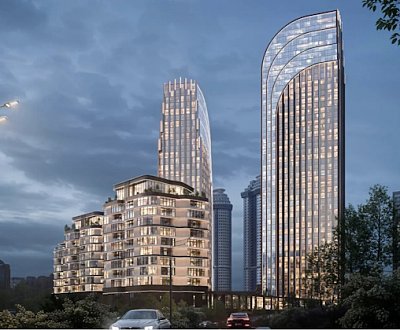 Золотые крылья
