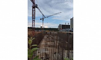 Август 2024